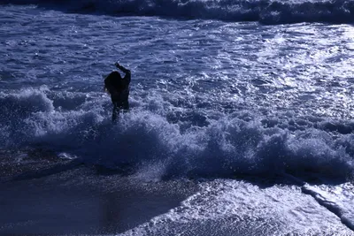 DSC_0436 (Large).JPG